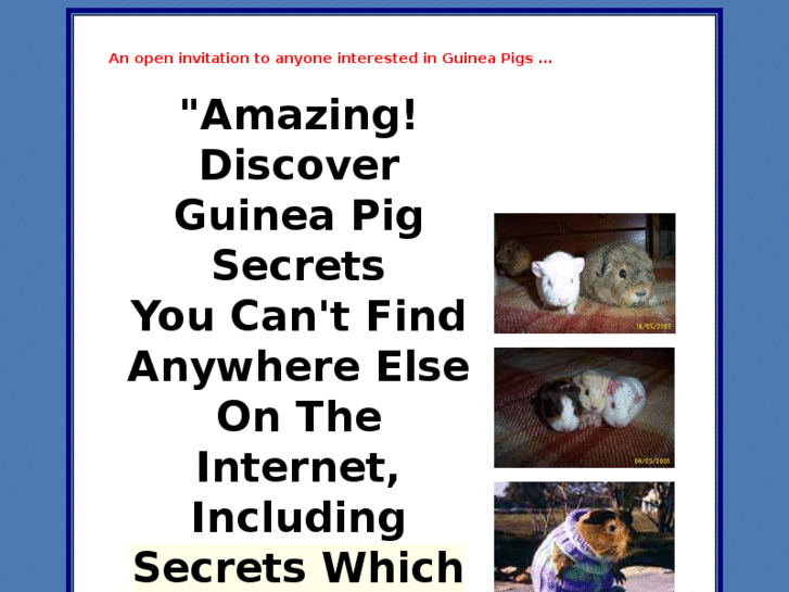 www.guineapigsecrets.com