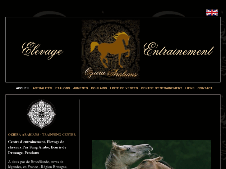 www.oziera-arabians.com