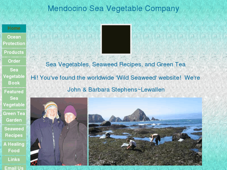 www.seaweed.net