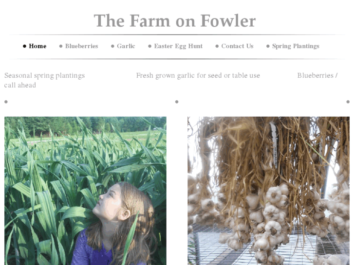 www.thefarmweb.com