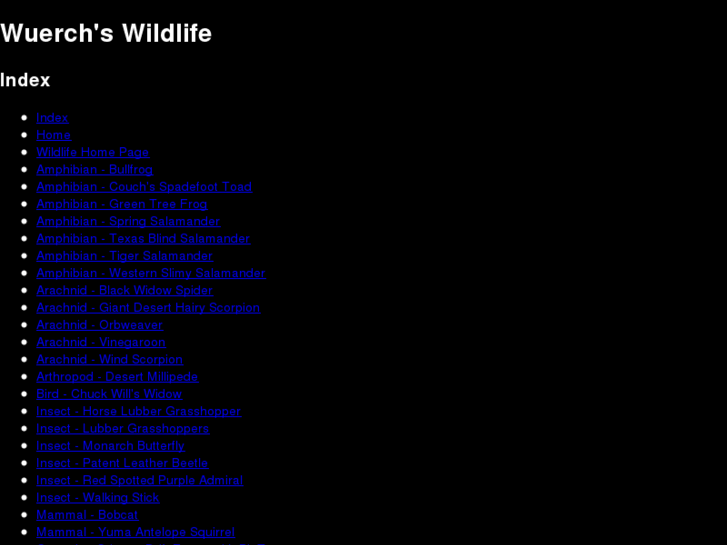 www.wuerchswildlife.com