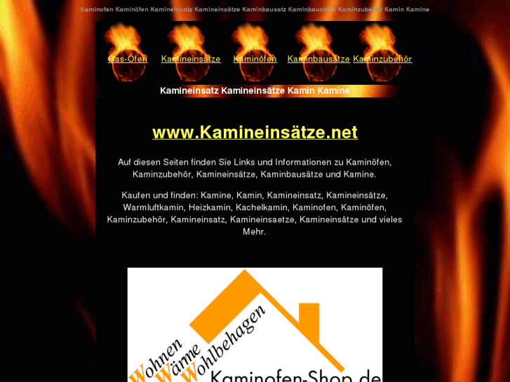 www.xn--kamineinstze-ocb.net