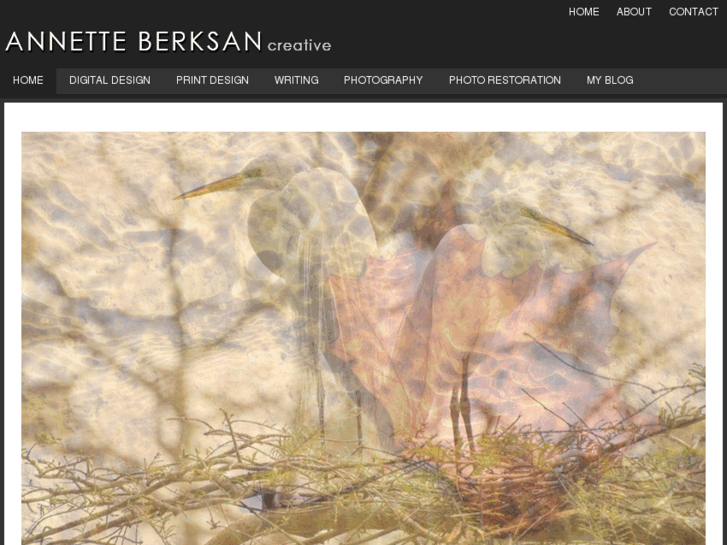 www.aberksan.com