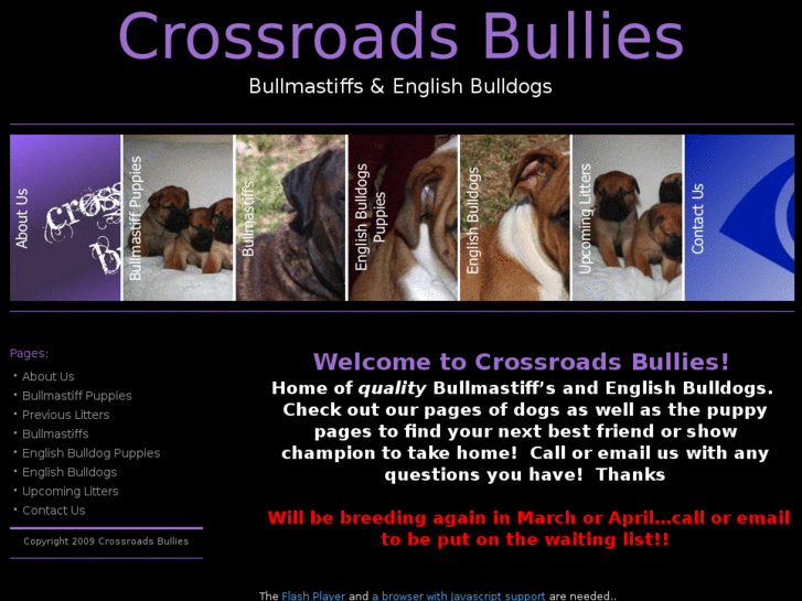 www.crossroadsbullies.com