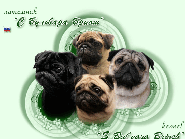 www.pugs-briosh.com