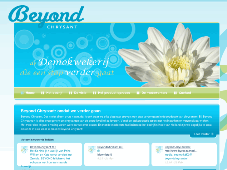 www.beyond-chrysant.nl