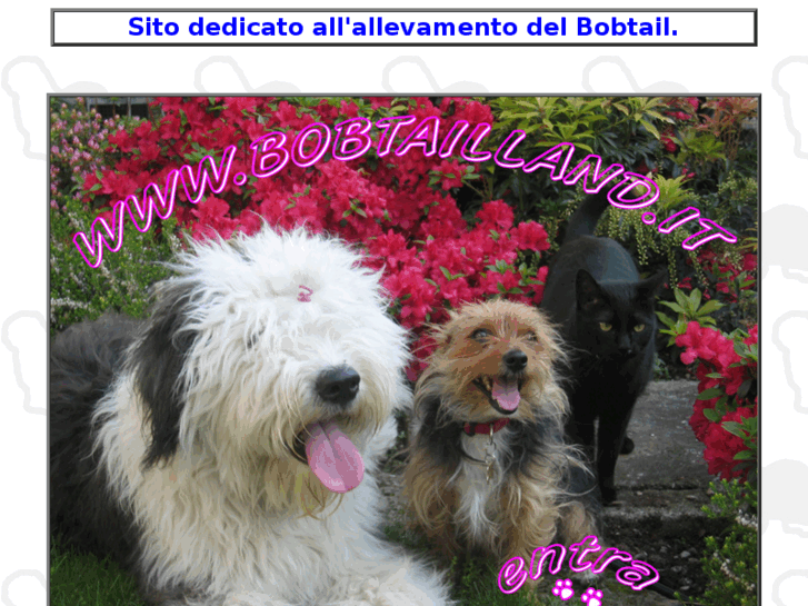 www.bobtailland.it