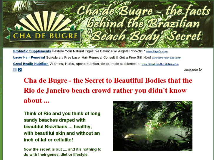 www.cha-de-bugre.com