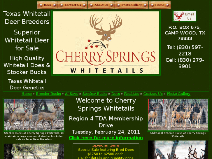 www.cherryspringswhitetails.com