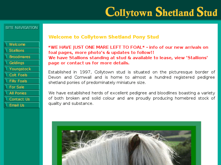 www.collytownstud.co.uk