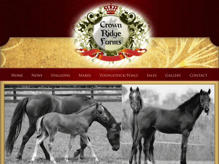 www.crownridgefarms.com