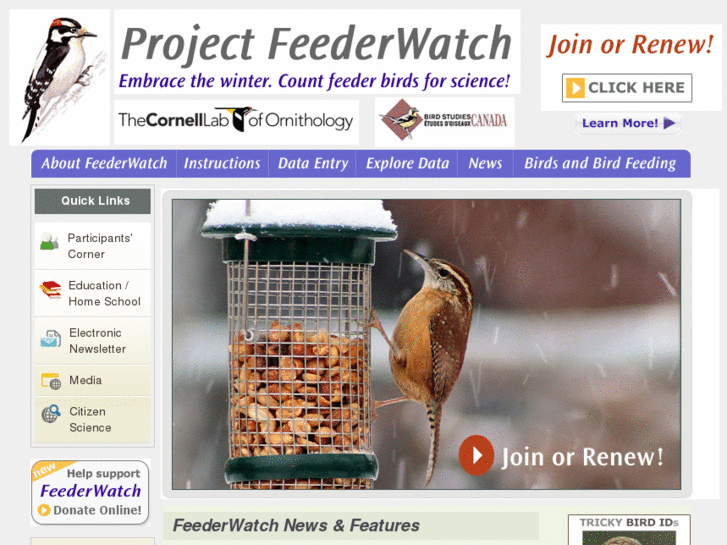 www.feederwatch.org