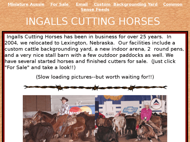 www.ingallscuttinghorses.com