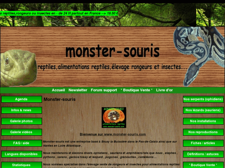 www.monster-souris.com