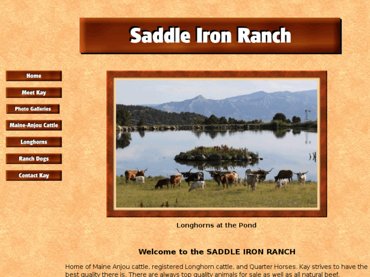 www.saddleironranch.com