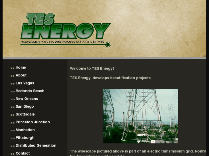 www.tesenergy.com