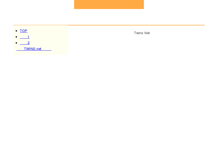 www.twins-net.com