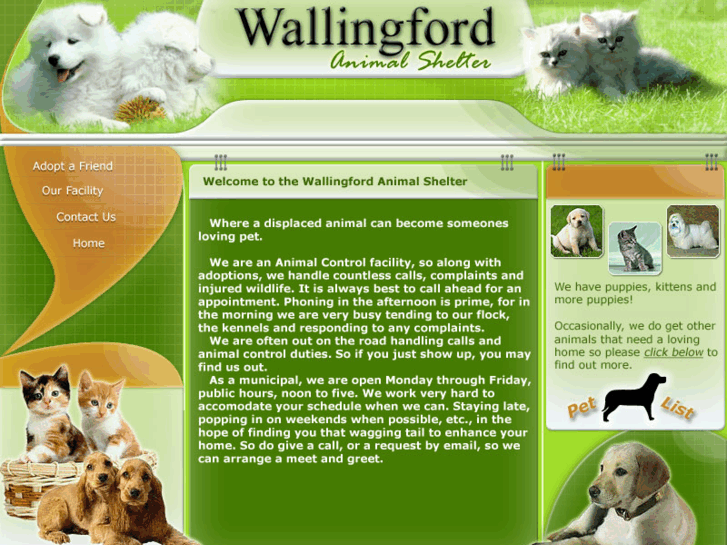 www.wallingfordanimalshelter.com