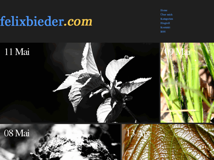 www.felixbieder.com