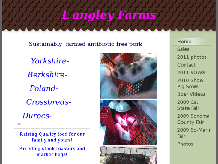 www.langleyshowpig.com