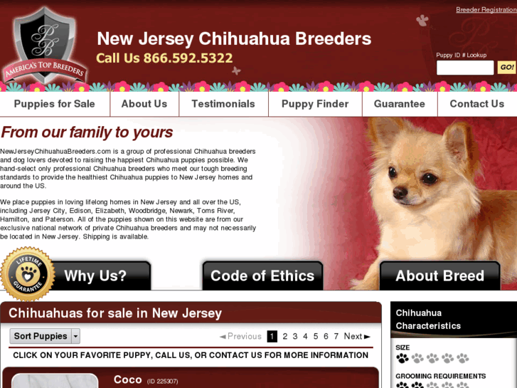 www.newjerseychihuahuabreeders.com