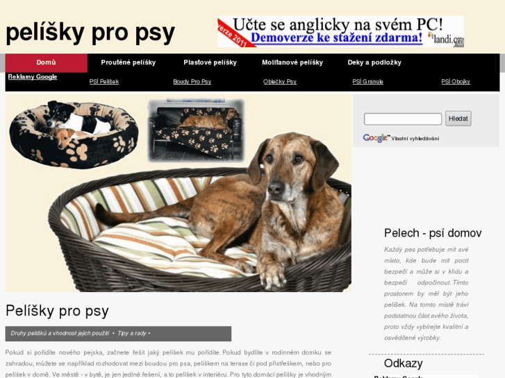 www.peliskypropsy.info