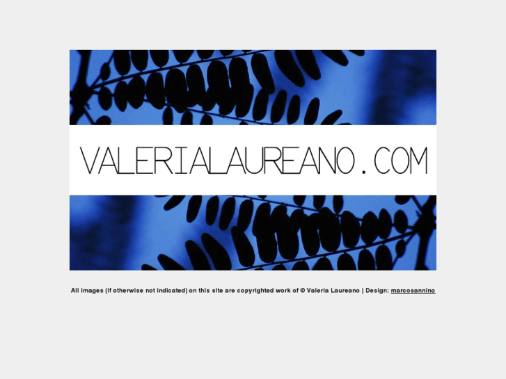 www.valerialaureano.com