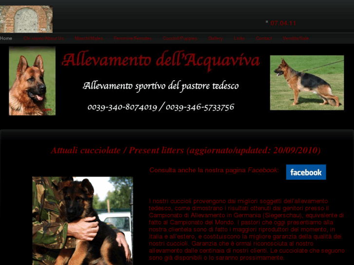 www.allevamentoacquaviva.com