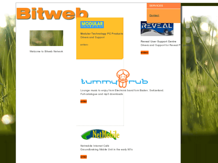 www.bitweb.com