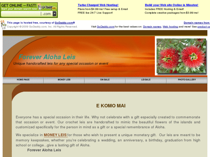 www.foreveralohaleis.com