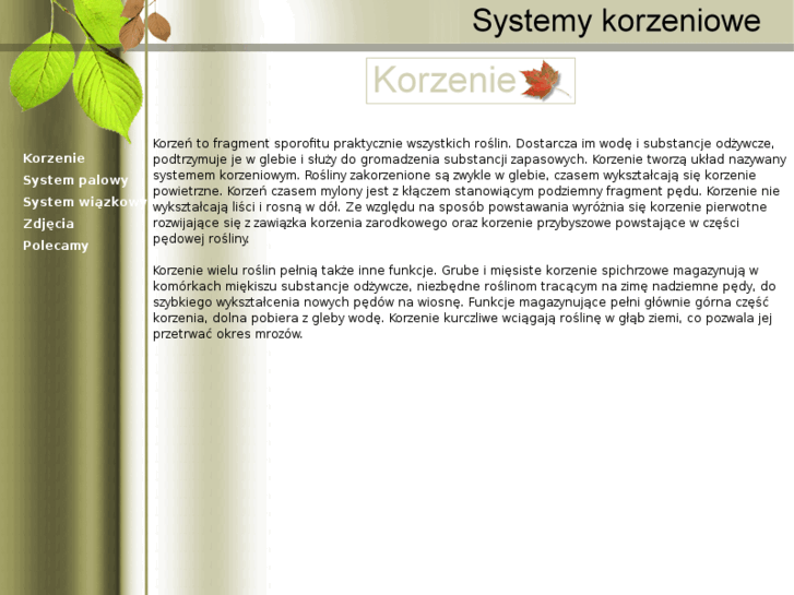 www.korzen.biz