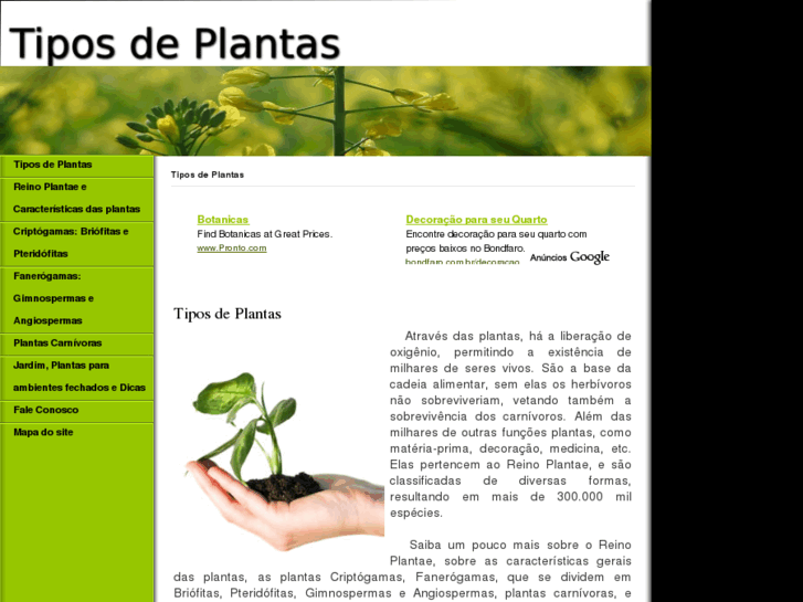 www.tipos-de-plantas.info