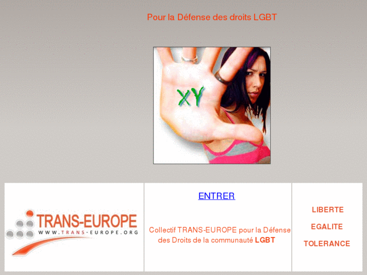 www.trans-europe.org