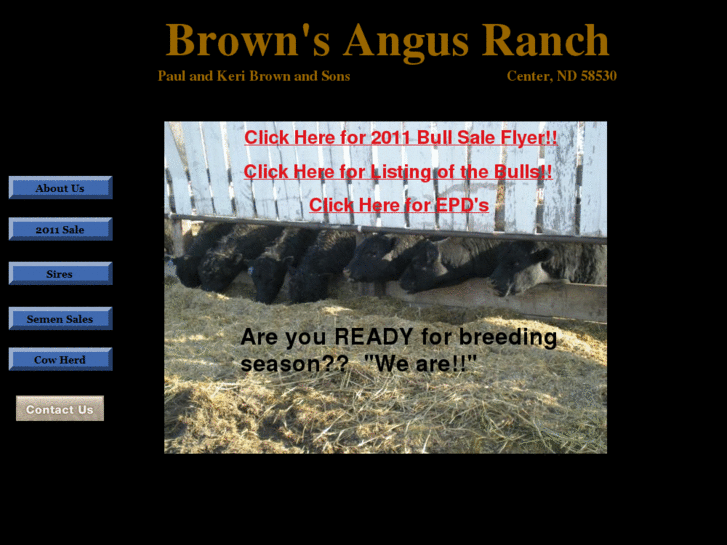 www.brownsangusranch.com