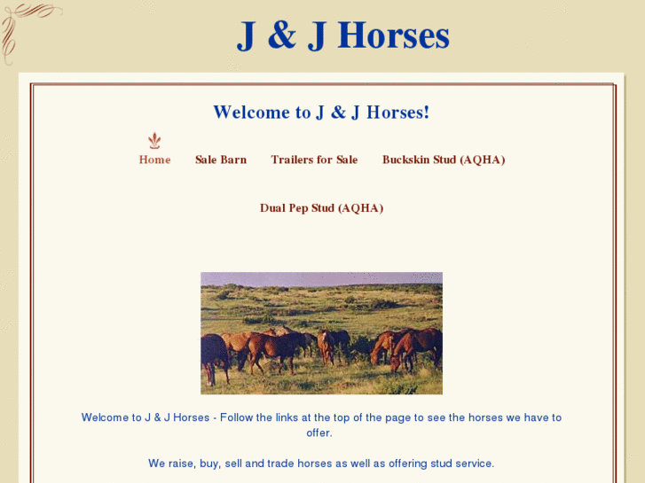 www.jandjhorses.com