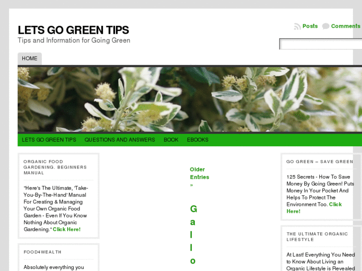 www.letsgogreentips.com