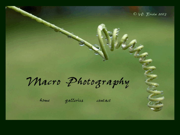 www.macrophotoexplorer.com