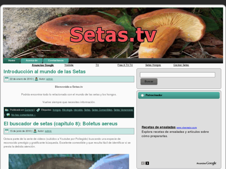 www.setas.tv