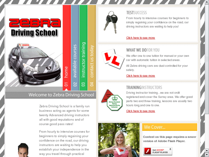 www.zebradrivingschool.com