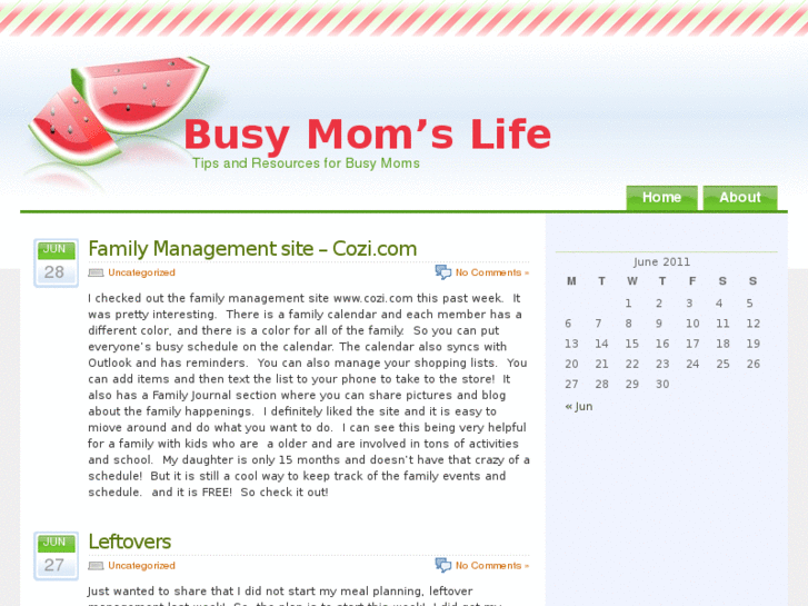 www.busymomslife.com