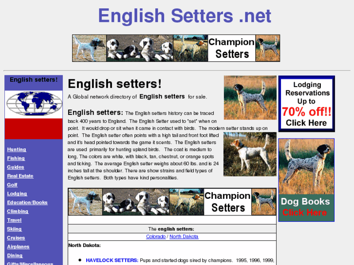 www.englishsetters.net