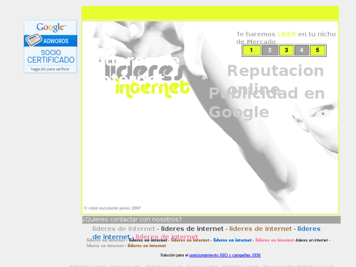 www.lideresdeinternet.es