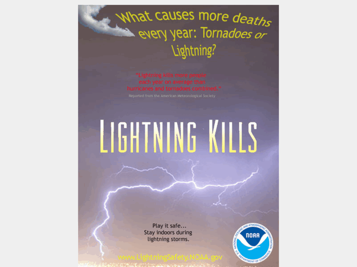 www.lightningsfety.com