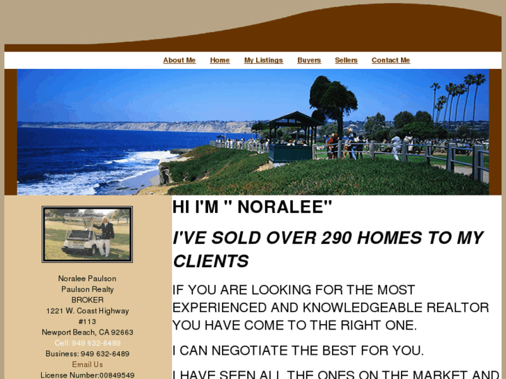 www.noraleepaulson.com