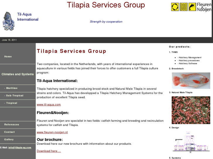 www.tilapia-sg.com