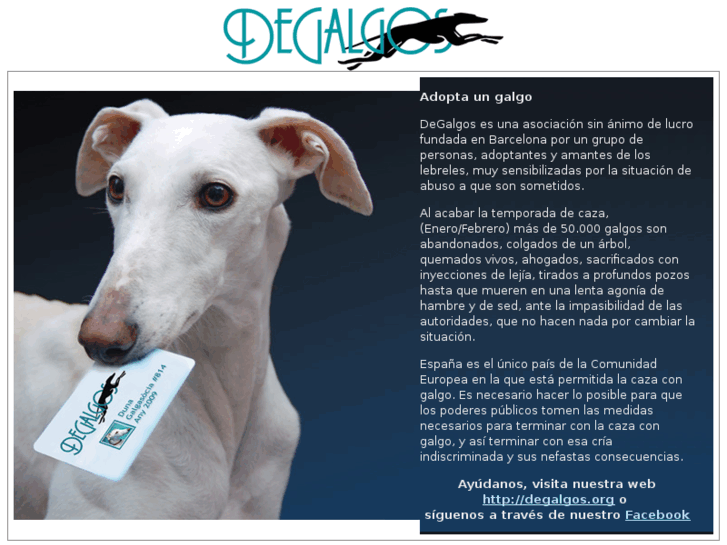 www.adoptarungalgo.com