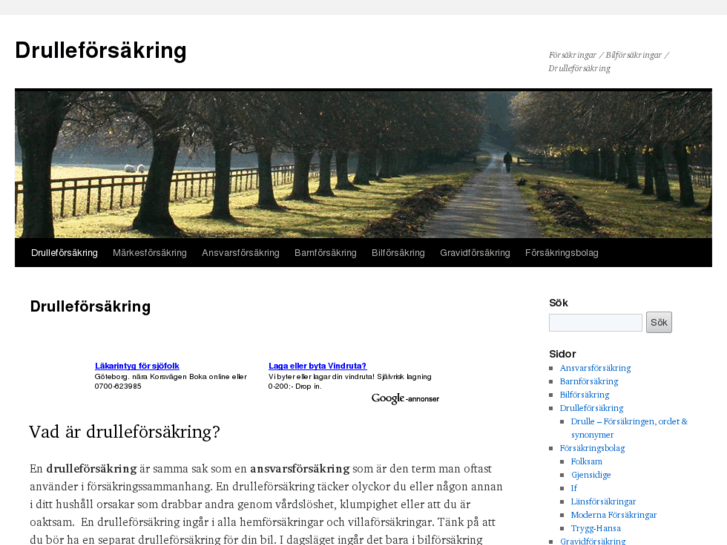 www.drulleforsakring.com