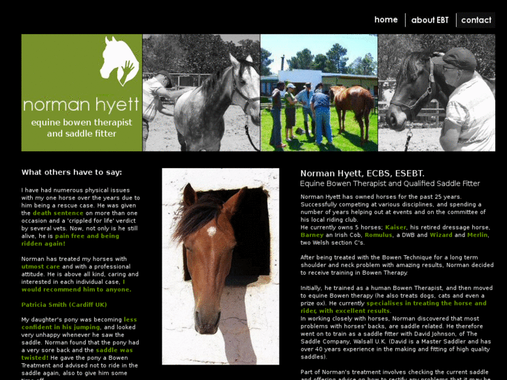 www.equinebowensouthafrica.com