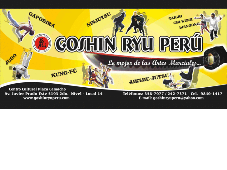 www.goshinryuperu.com