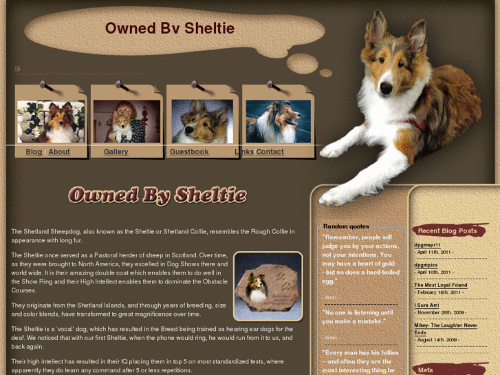 www.ownedbysheltie.com